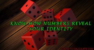 Wedding date numerology 11 photo 2