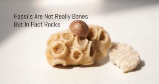10 facts about relative dating